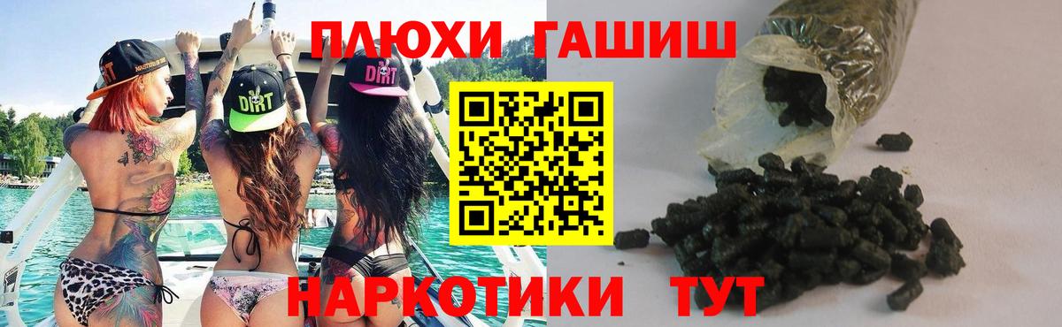 ГАШ гарик Зеленогорск