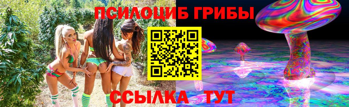Зеленогорск  Галлюциногенные грибы GOLDEN TEACHER  Вход с VPN  сколько стоит  Галлюциногенные грибы MAGIC MUSHROOMS 