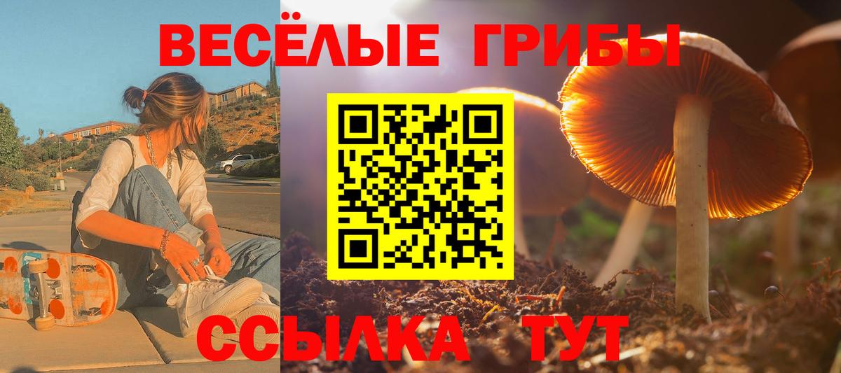 Галлюциногенные грибы GOLDEN TEACHER Зеленогорск